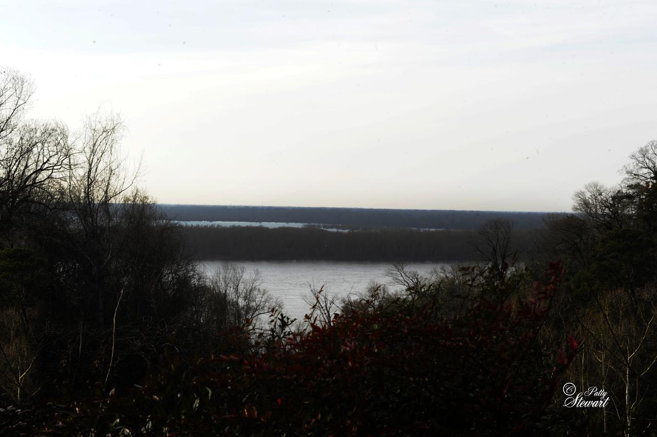 Clermont Bluffs Bed & Breakfast Natchez Eksteriør bilde